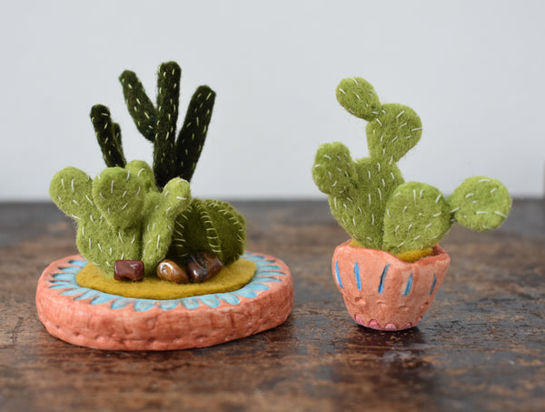 Prickly Pear Cactus in Clay Pot